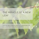 The Miracle of a New Leaf