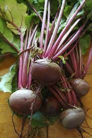 Beetroot - Wikipedia