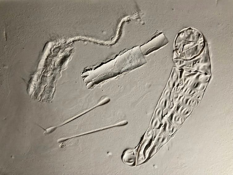 Condom and tampon mid-fossilisation