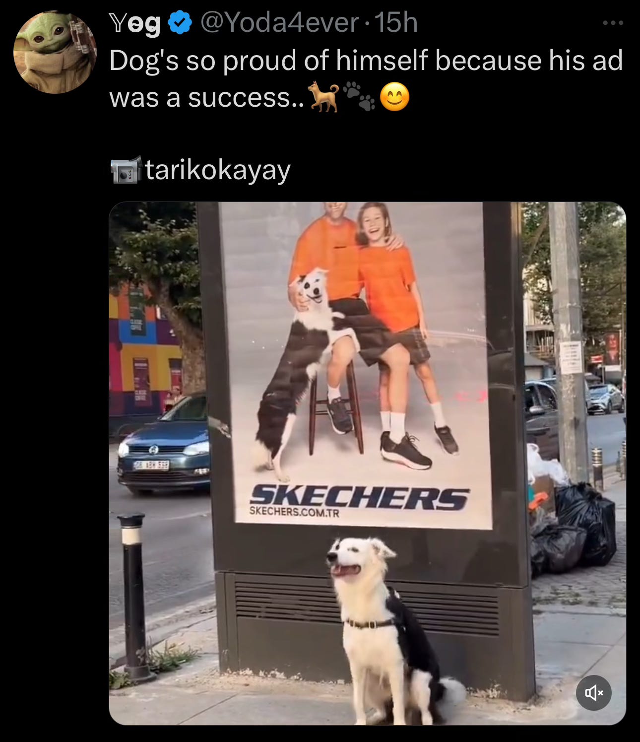 Image.heic Image.heic