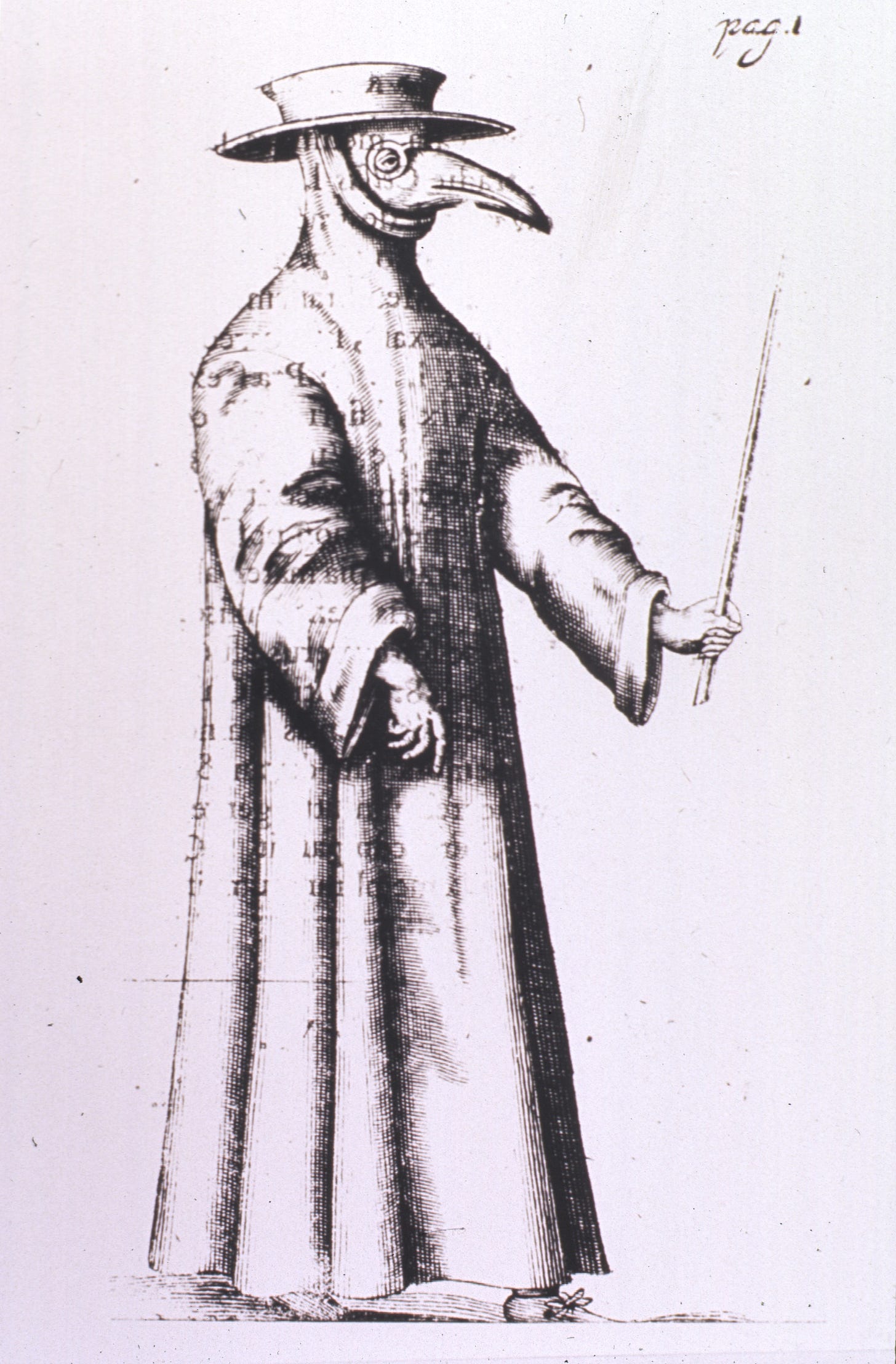 Person wearing a long gown, beak mask and hat