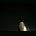 هُدى's avatar