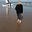 Fiona Cahill's avatar