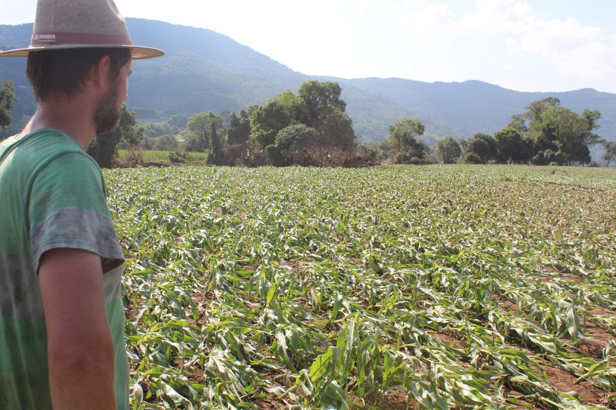 CNA prevê retração no PIB agropecuário em 2024