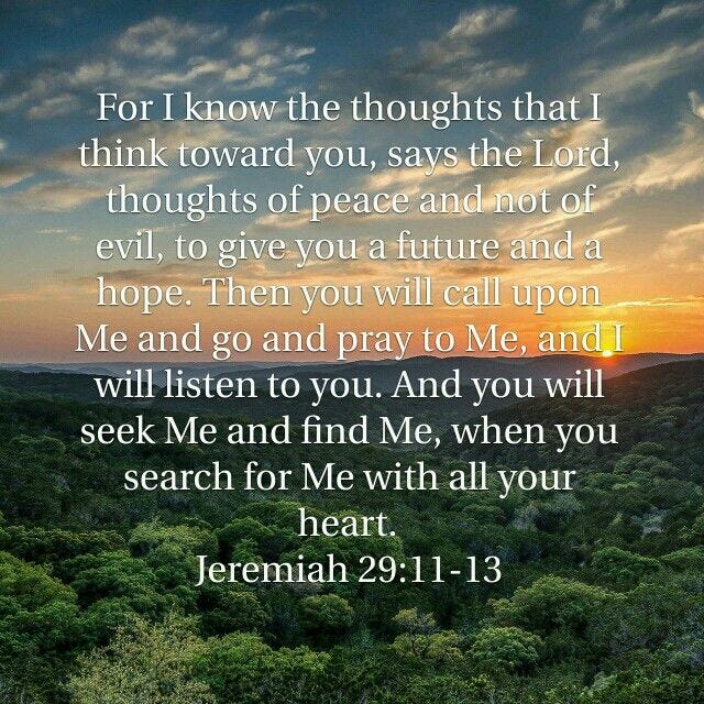 the sun setting over trees with a bible verse