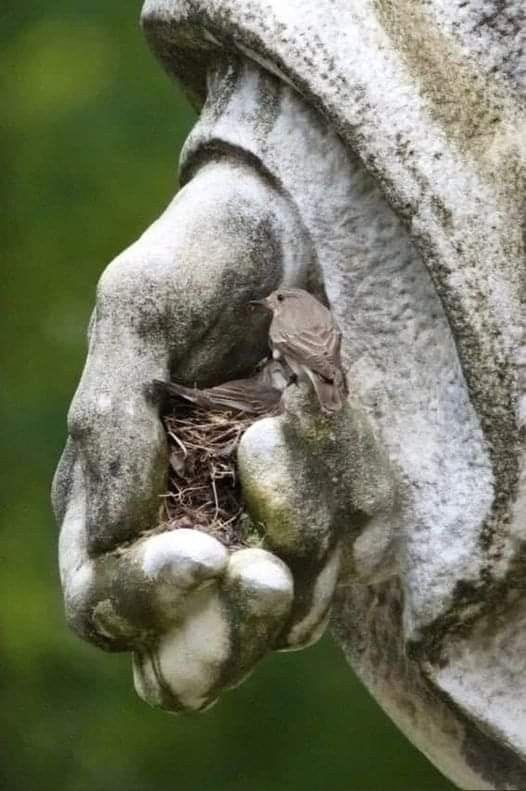 This may contain: a close up of a statue with a bird in it's nest