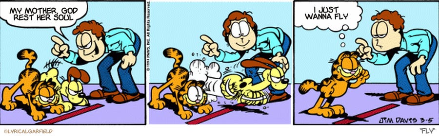 Original Garfield comic from March 5, 1993

Text replaced with lyrics from: Fly
