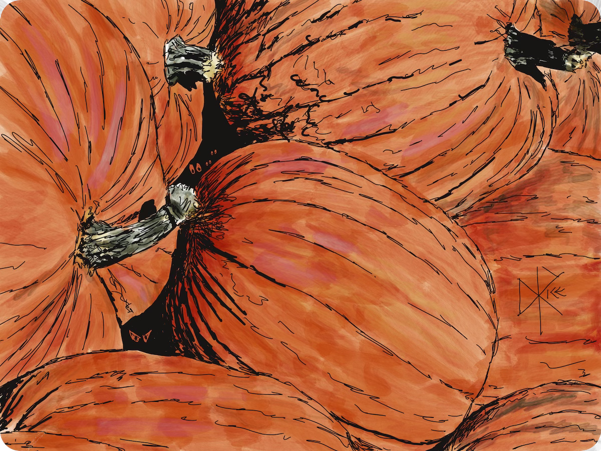 A large pile of pumpkins makes a covert den for some cartoon creatures, as they peer out from the negative spaces. Sketch art by Don Rice.