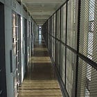 South Dakota DOC quietly fires correctional leaders in restructuring effort