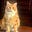 OWLNYC's avatar
