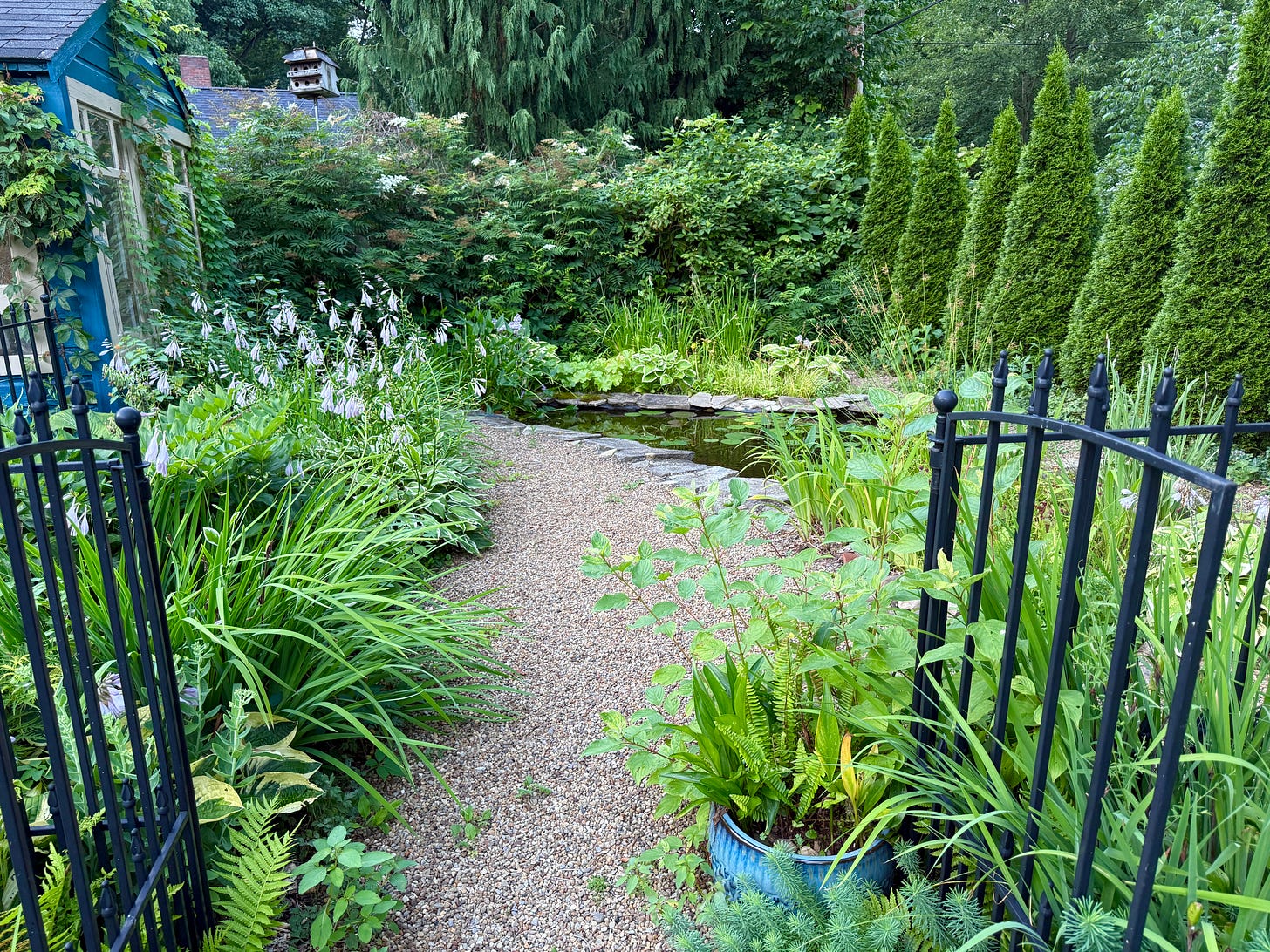 Into the Pond in July