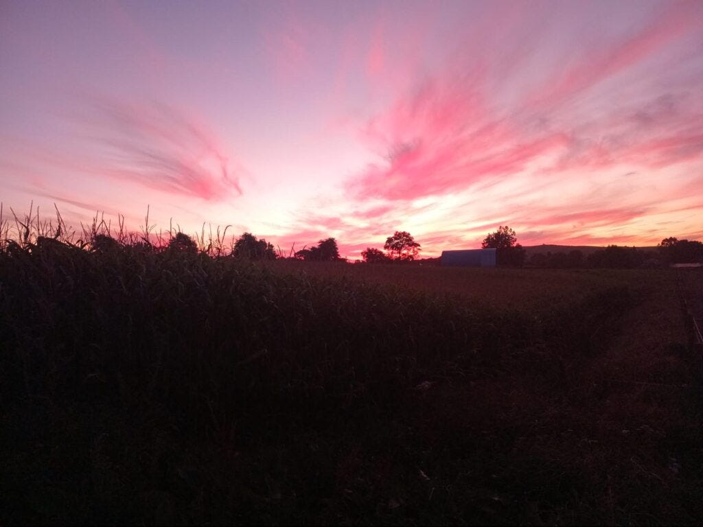 Dramatic pink and purple sunset sky over rural farmland with silhouetted trees Dramatic pink and purple sunset sky over rural farmland with silhouetted trees