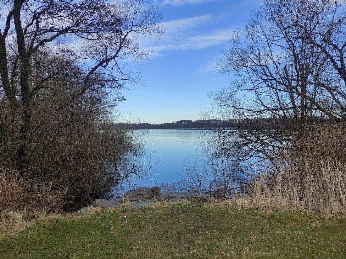 A large lake with trees on the side