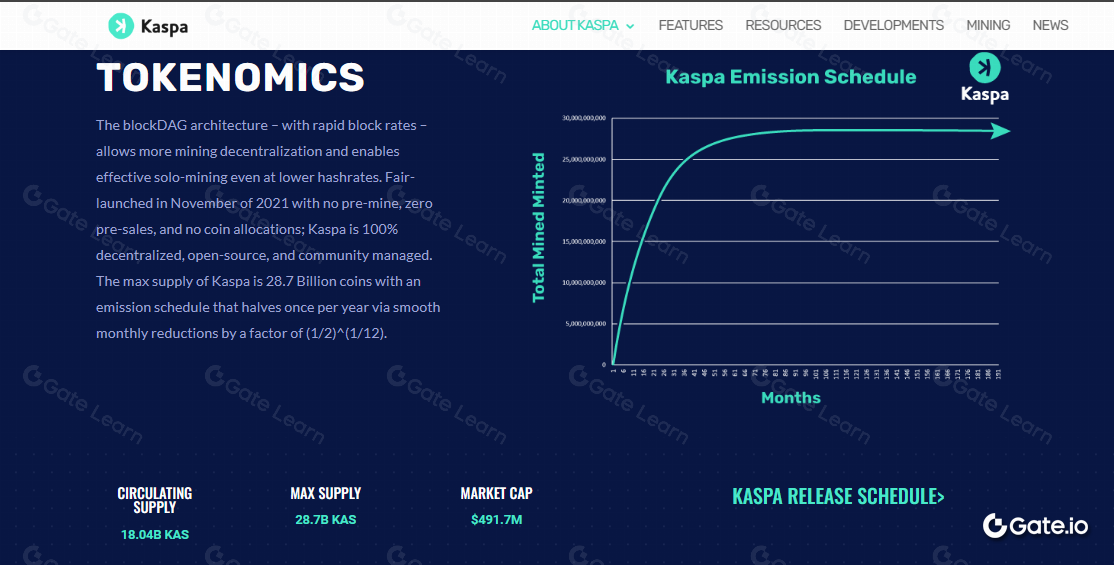 What is Kaspa (KAS)? All You Need to Know About KAS