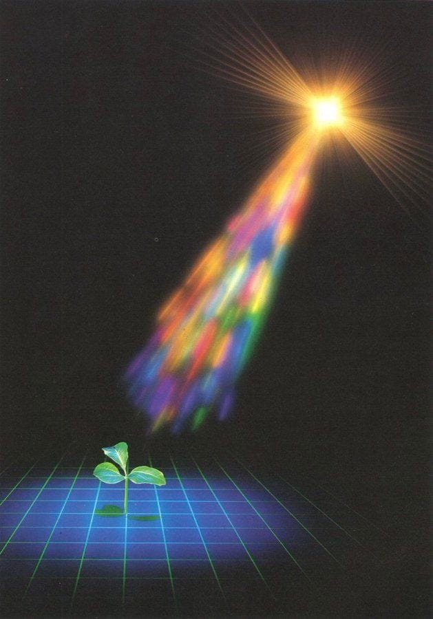This may contain: a plant sprouts from the ground in front of a bright light that is shining