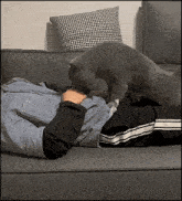 a person laying on a couch with a cat licking their chest a person laying on a couch with a cat licking their chest