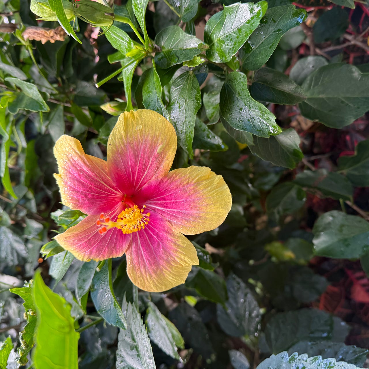 Kevin & Uncle Bob Sail the Globe