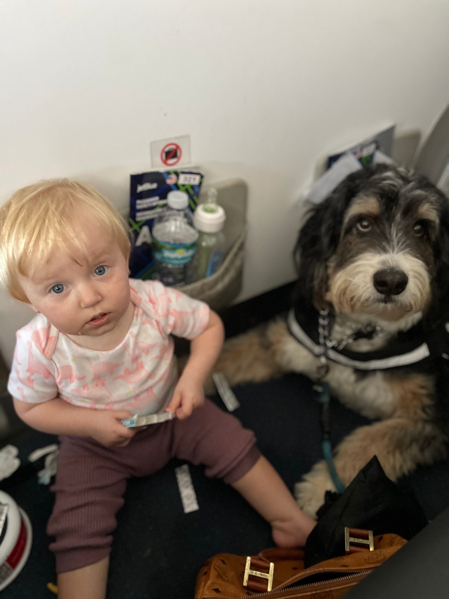 My family office, mid flight