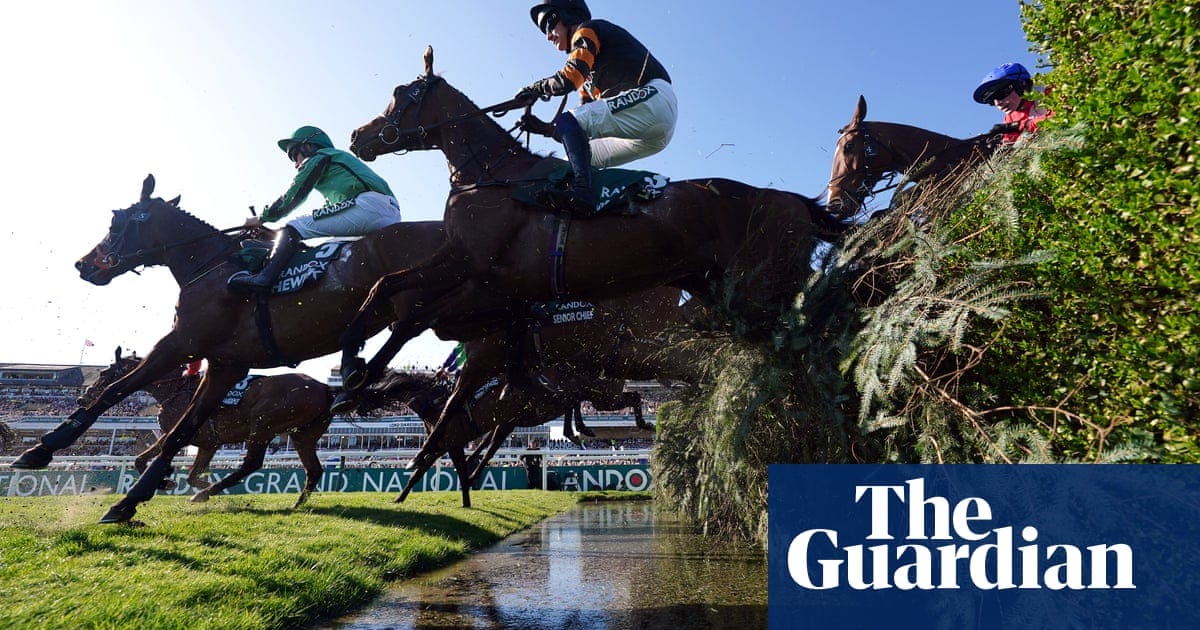 Animal rights groups hit out at Grand National after Broadway Boy’s ‘horrific’ fall