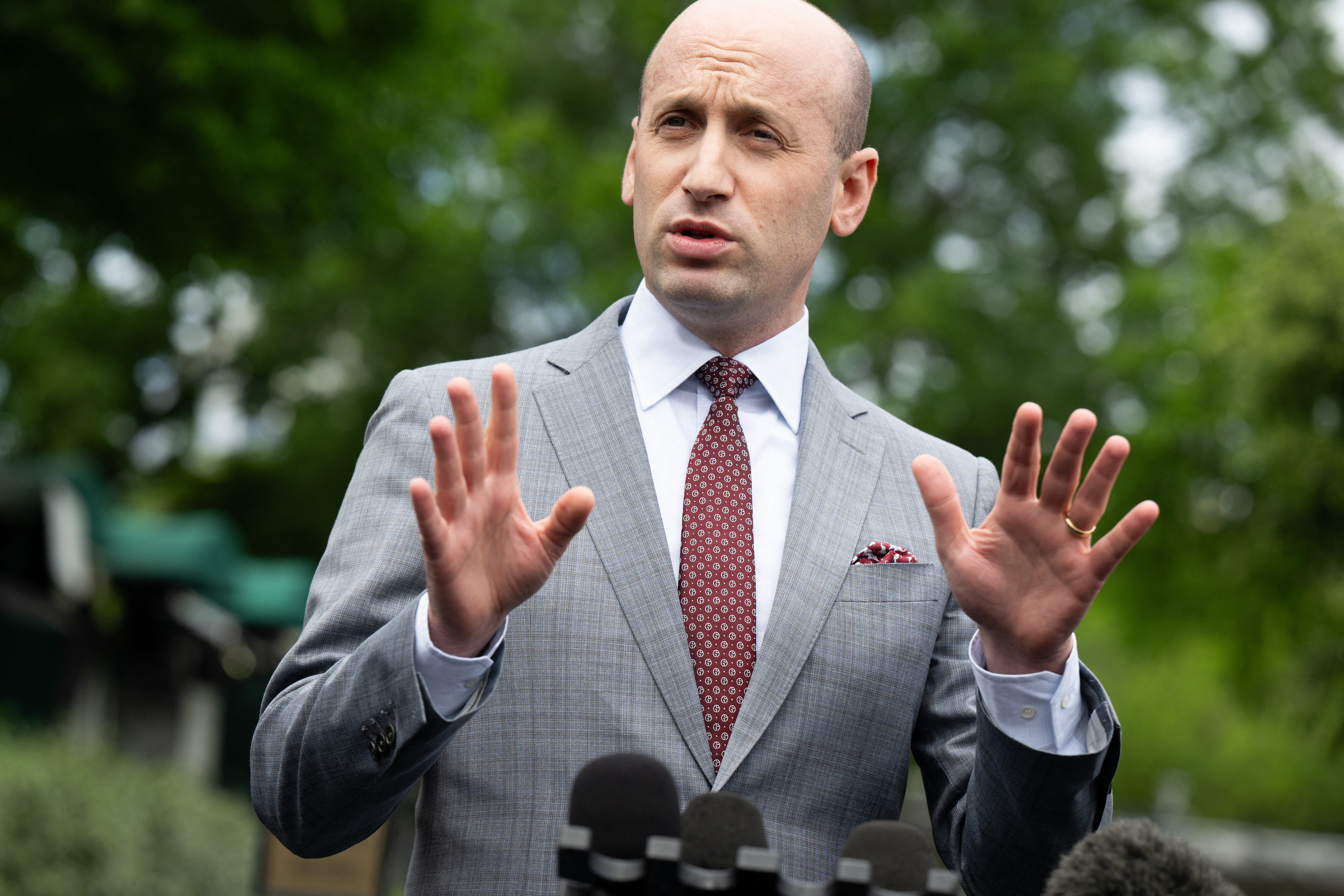 Sinister, Malevolent, Venomous: Stephen Miller Is Like No Other White ...