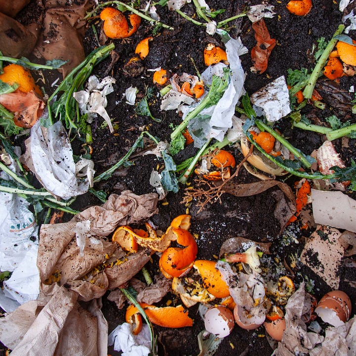 Diptych: Rows of small plastic plant tags at a nursery lined up in pots next to Oranges in a compost pile.