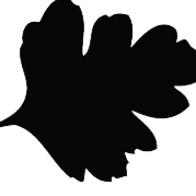 Hawthorn Herbals' Substack