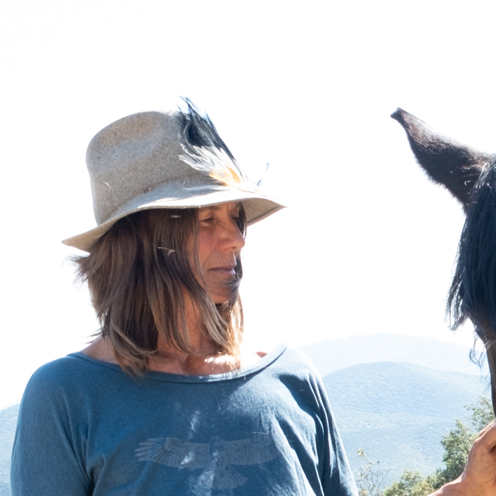 Musings from the Backcountry