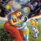 Seeing the Lord (Sankhya #13)