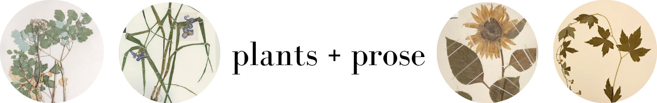 plants + prose