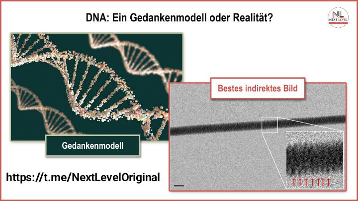 Next Level: Το DNA Δεν Υφίσταται