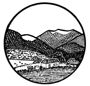 巨匠RINIのアート Rini's Art - and Yours - The Grassroots Connector