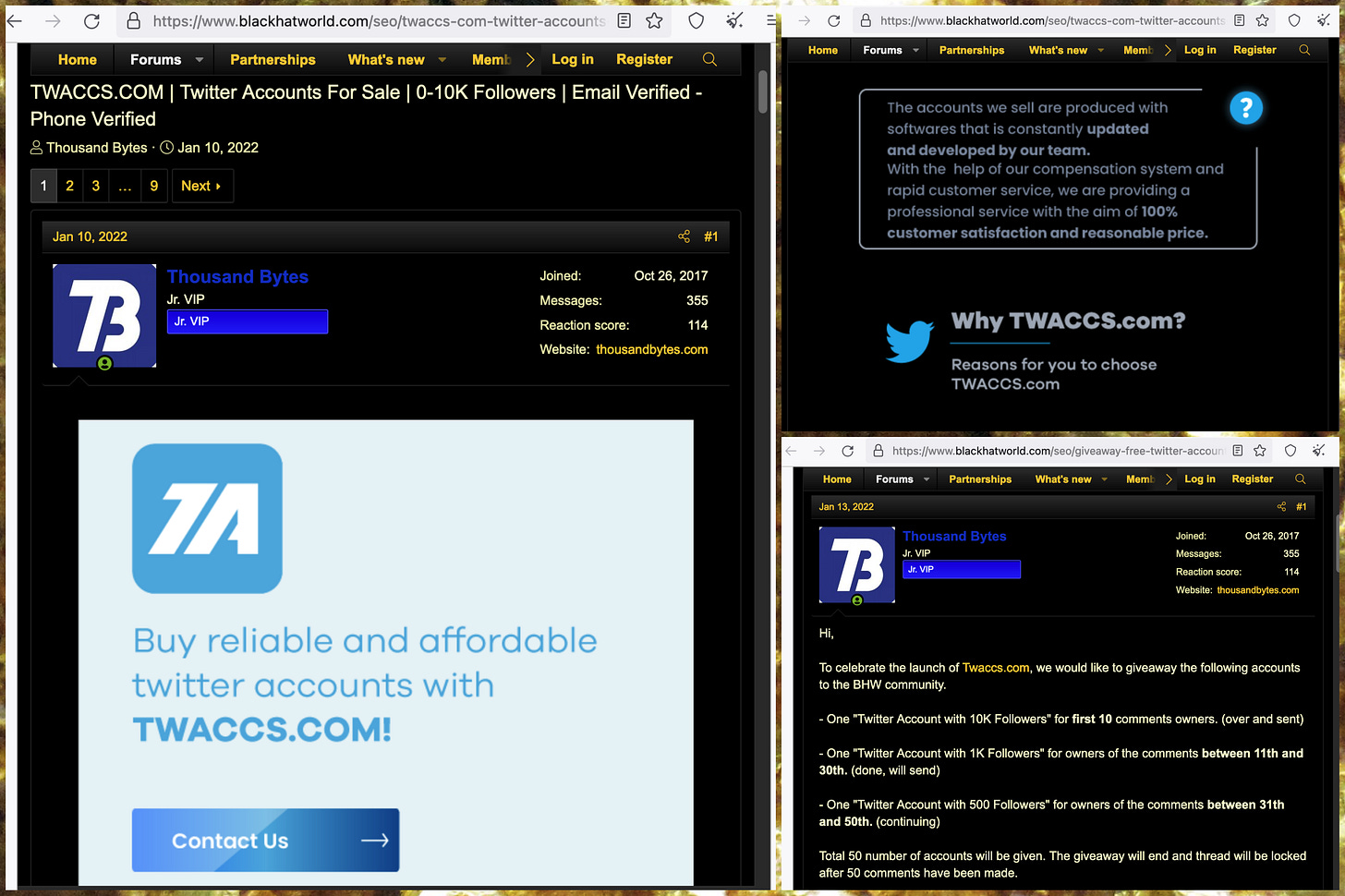 screenshots of January 2022 BlackHatWorld posts from "Thousand Bytes" announcing twaccs.com