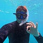 The Ocean Dispatch's avatar