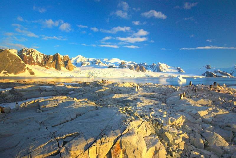 Stock photo from Unsplash of Greenland under blue skies on a very sunny day, with a few penguins doing their best to bask on rocks in the foreground.