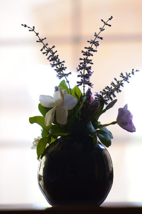 small sunny garden, desert garden, in a vase on monday, monday vase, garden blog, jasmine, sambac, arabian, amy myers, photography, ceramics, stoneware