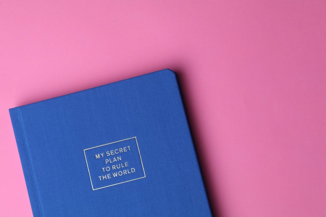 My Secret Plan to Rule the World Book My Secret Plan to Rule the World Book