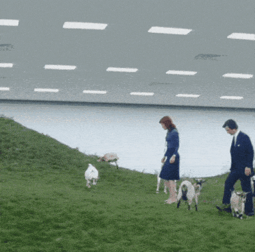 a man and a woman walking a herd of goats on a hill