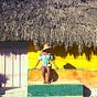 Niña Piña's avatar