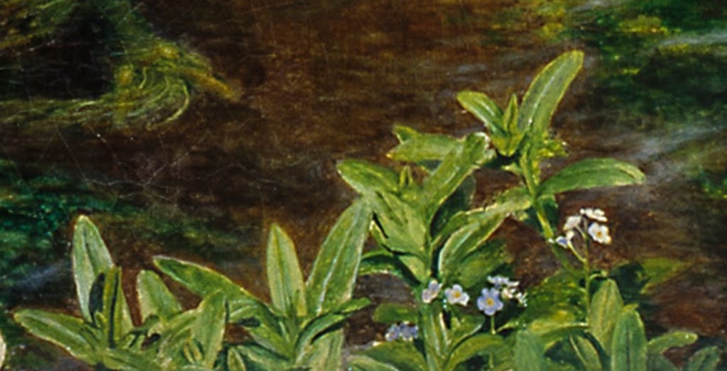 The Language of Ophelia's Flowers - by Jesse 𓆸
