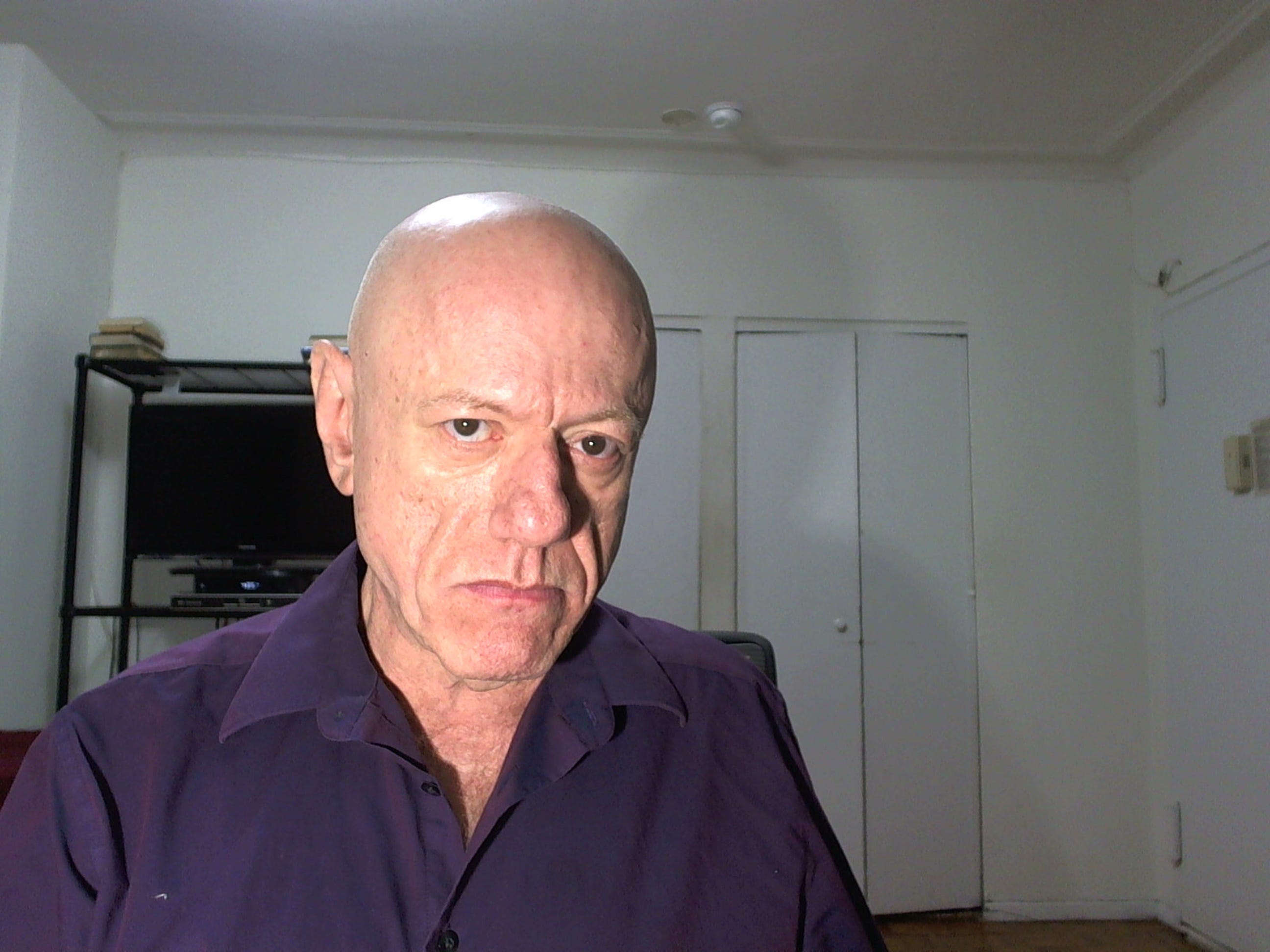 Mad Dogs and Englishmen