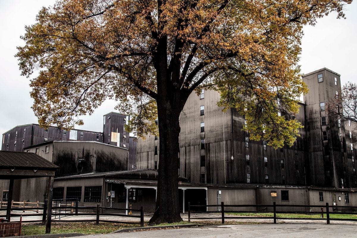Distilleries themselves can't escape a covering of <em>Baudoinia compniacensis.</em>