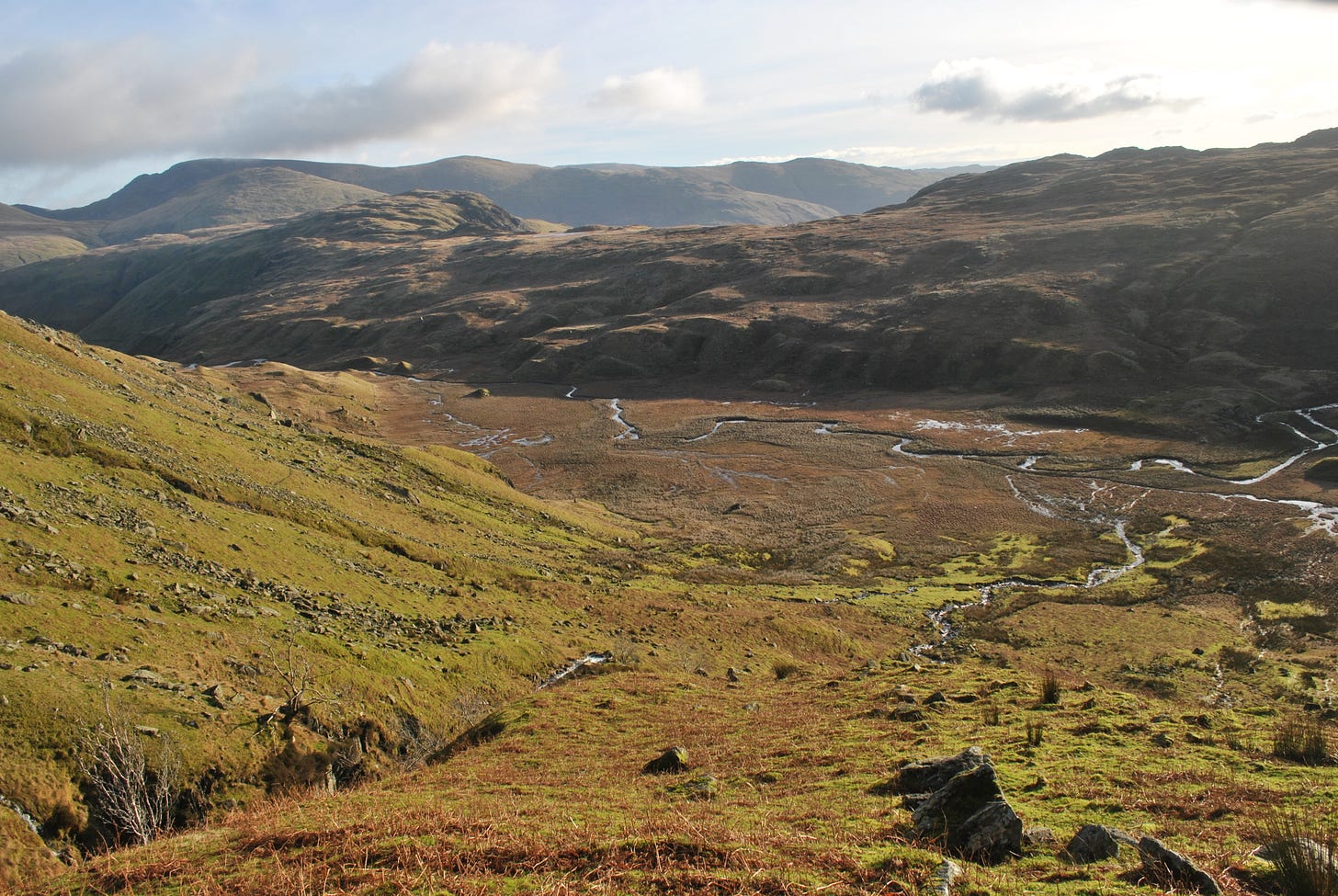 flat hollow in the hills with a stream through