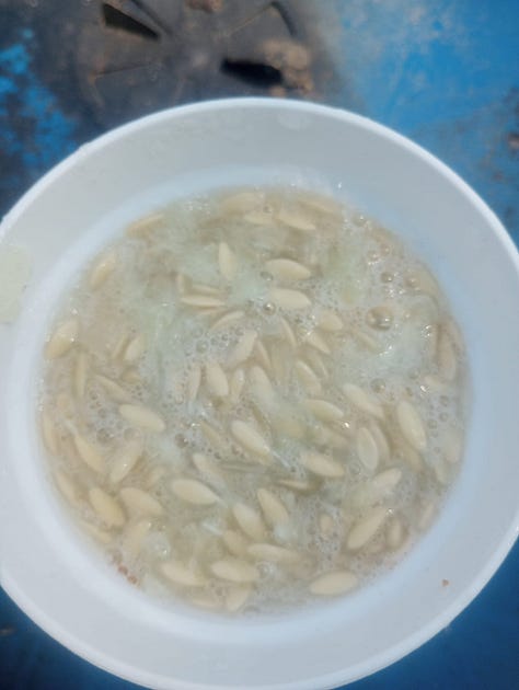 A metal sink filled with cucumber halves. A plastic container filled with seeds. A close up of seeds in a cucumber. 