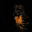 thebooster's avatar
