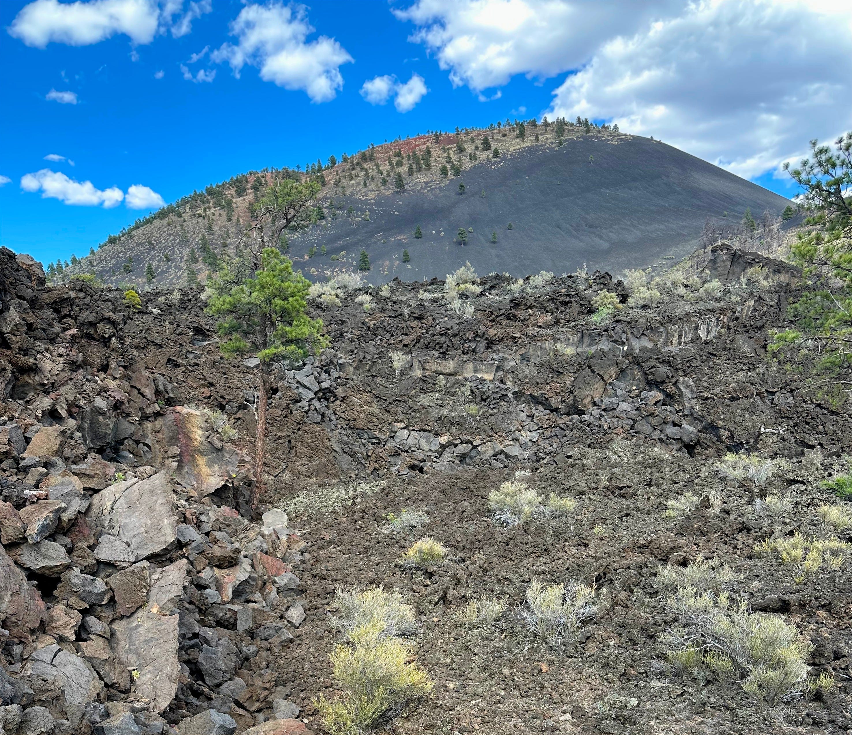 ESKENAZI　Trees,Rocks, Mist and Mountains An Afternoon at Sunset Crater - by Emese-Réka Fromm