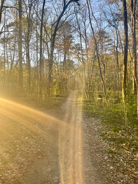 9 photos of various trees in Alabama
