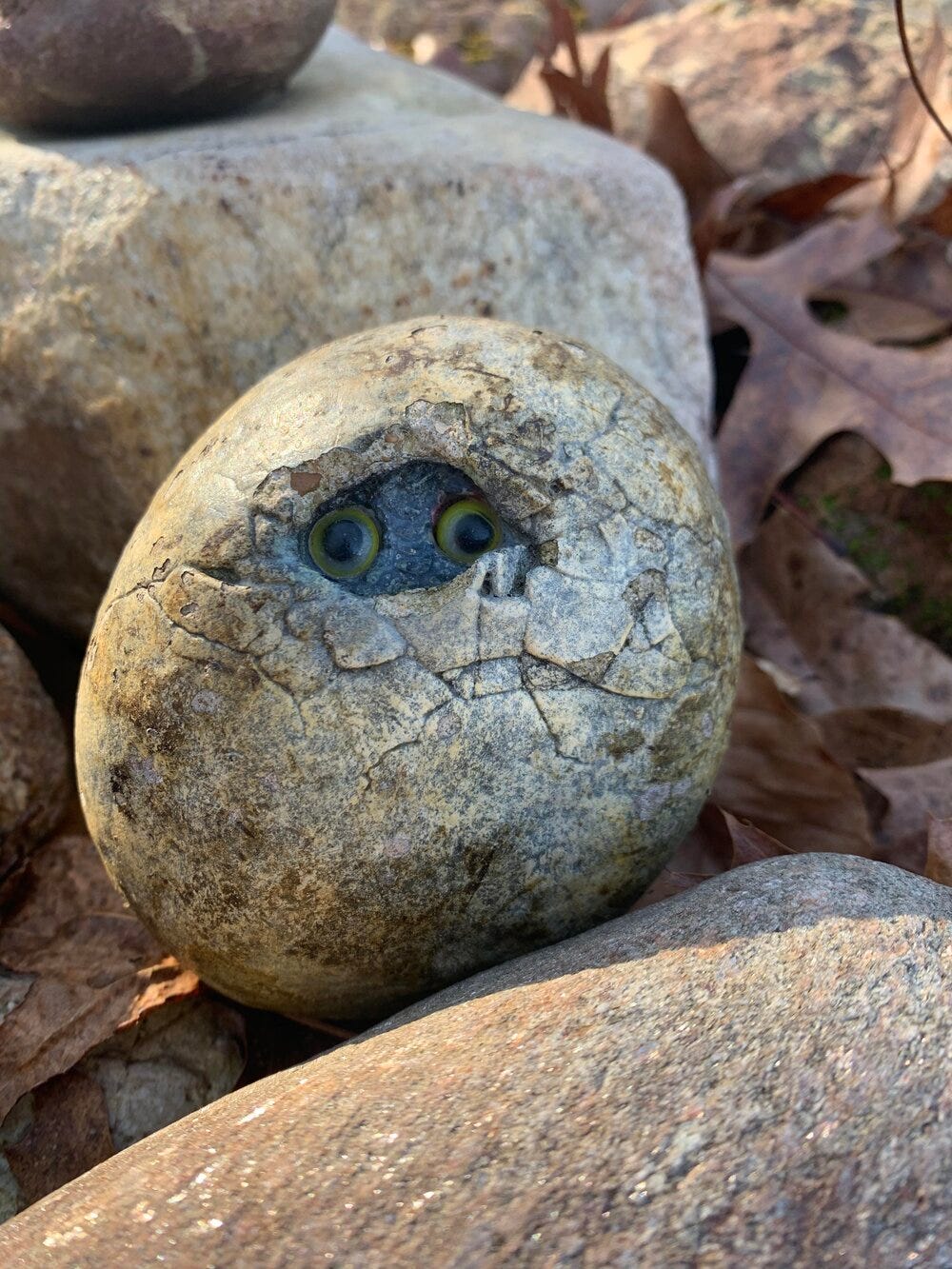 Eyes.jpg Eyes.jpg