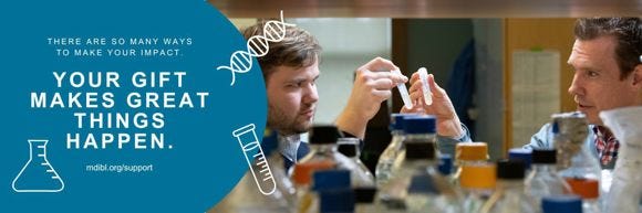Support MDI Bio Lab