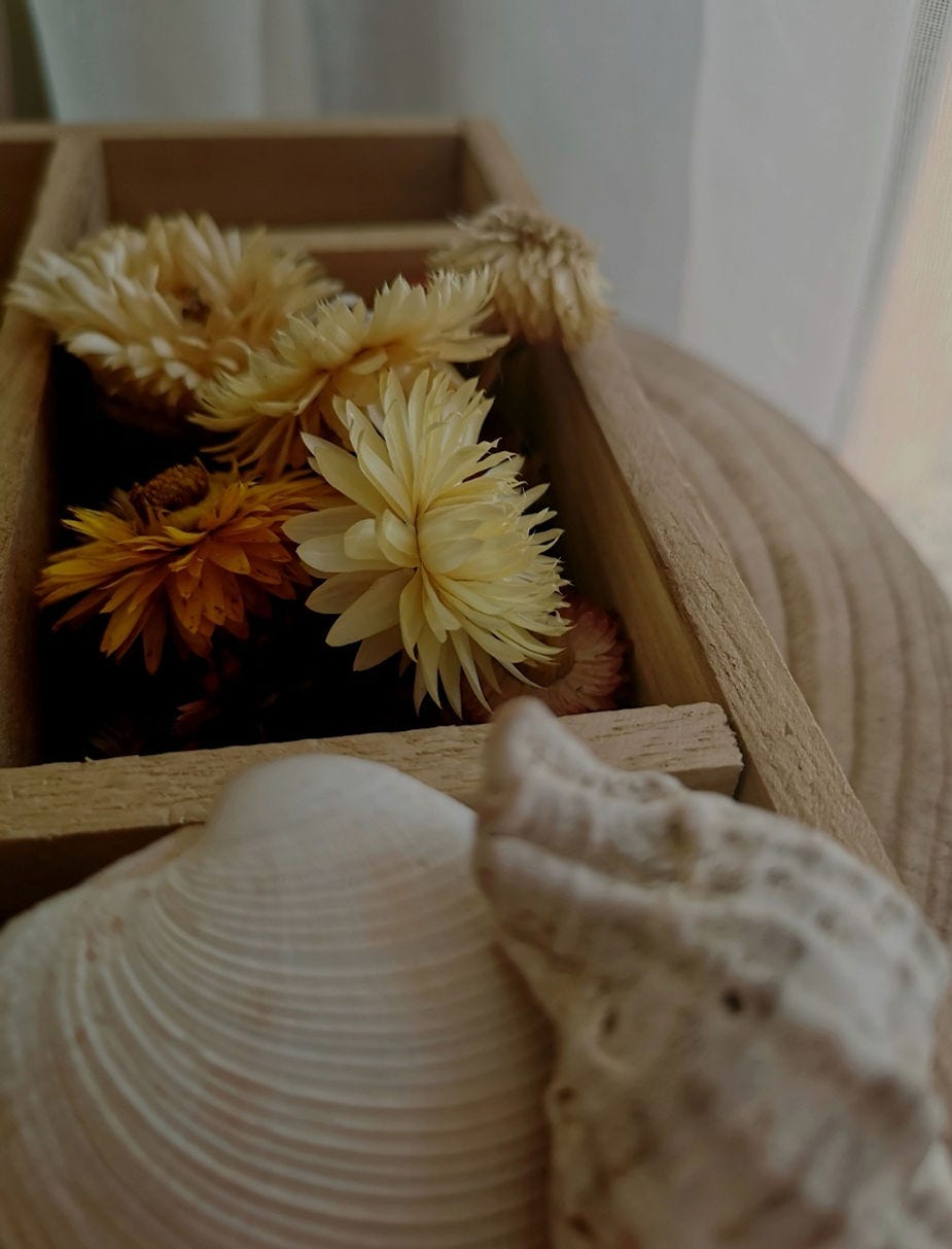 Wooden printer tray filled with dry flowers and seashells