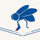 La mosca con los calcetines puestos